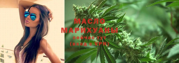 дмт Каменка