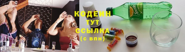 дмт Каменка