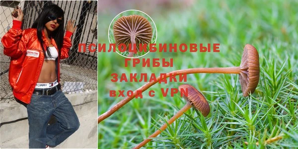 соль курить ск Каменногорск