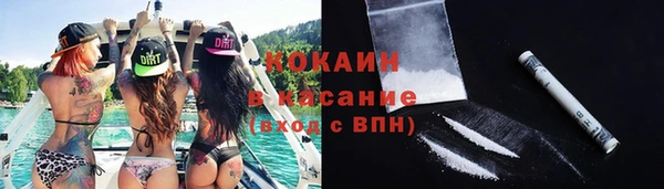дмт Каменка