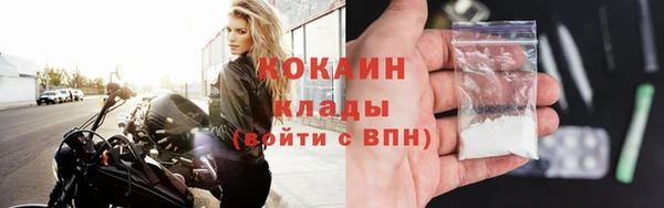 сатива Инсар