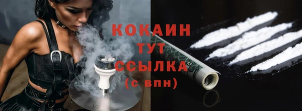 дмт Каменка