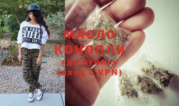 дмт Каменка